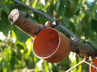 Прикрепленное изображение: P8243499_web.jpg